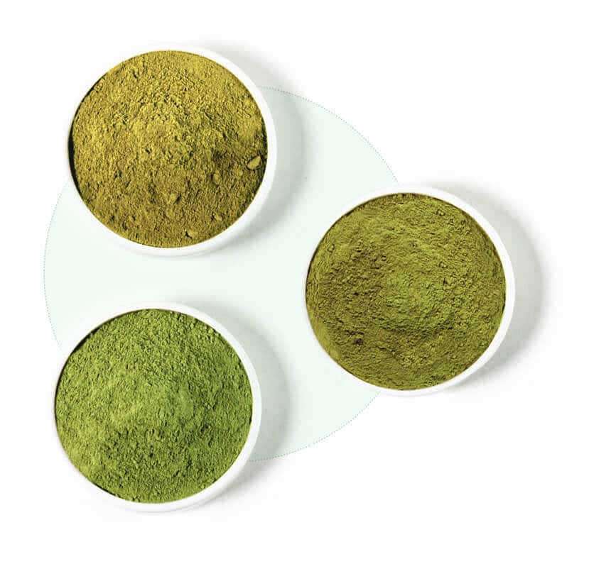 Verschiedene Arten von Kratom-Pulver von höchsten Qualität
