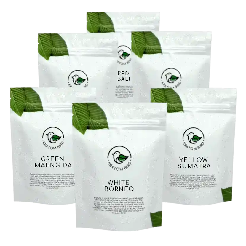 Kratom Proben in Verpackungen in Kratom Bird Online Shop
